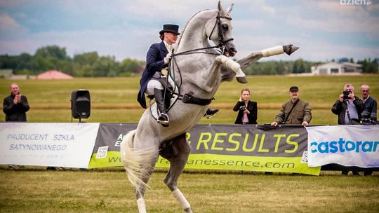 III Ogólnopolski Czempionat Koni Arabskich Radom 2018 (dzień II)