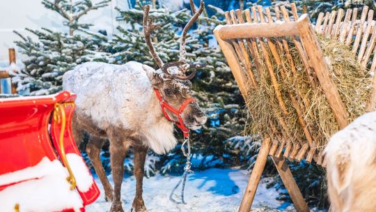 III Powiatowy Jarmark Bożonarodzeniowy w Pionkach już 15 grudnia