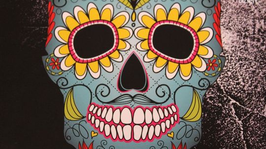 Ilona Pulnar-Ferdjani i Agnieszka Kozdęba - rozmowa w studiu lokalnym Radia Rekord