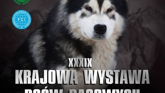 Iłża. 39. Krajowa Wystawa Psów Rasowych już w niedzielę!