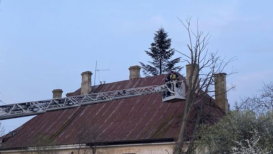 Iłża. Drzewo prawie spadło na budynek