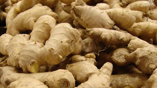 Imbir - bogactwo zastosowań