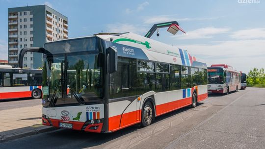 Imiona dla autobusów
