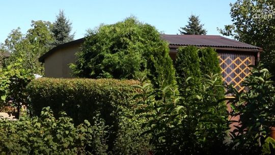 Informacje. Co z pieniędzmi dla działkowców?