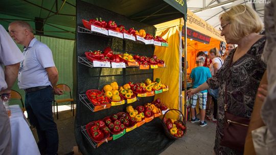 Informacje. Mają propozycje na walkę z inflacją