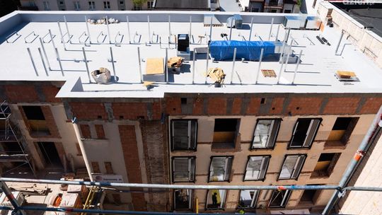 Informacje. Medyk rośnie