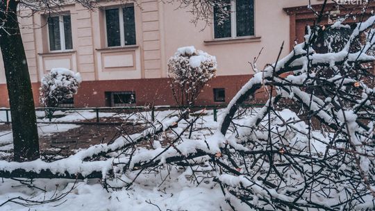 Informacje. Po ataku zimy kilkadziesiąt tysięcy gospodarstw bez prądu
