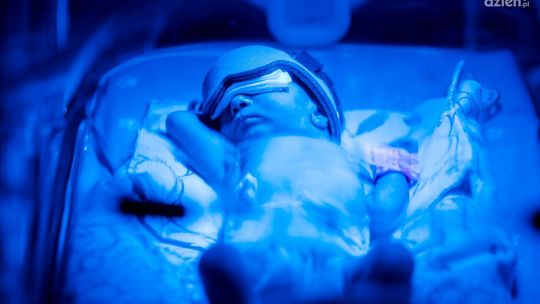 Informacje. Prezenty dla pierwszego radomianina