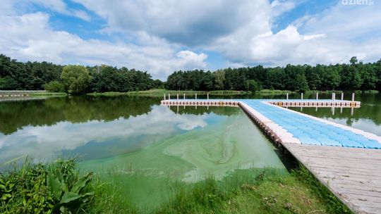 Informacje. Sinice w zalewie