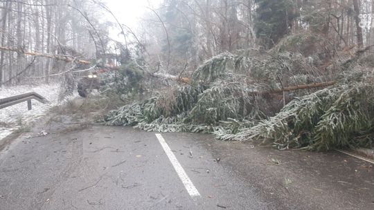 Informacje. Straty po poniedziałkowych burzach Informacje. Straty po poniedziałkowych burzach