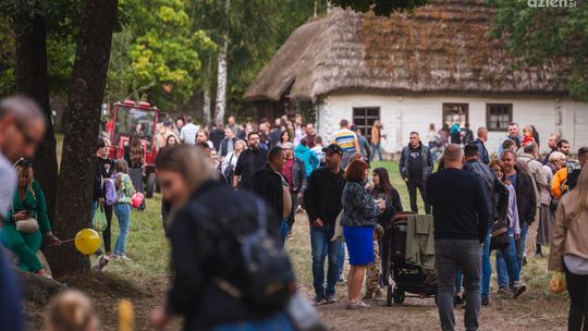 Informacje. Sukces Festiwalu Ziemniaka