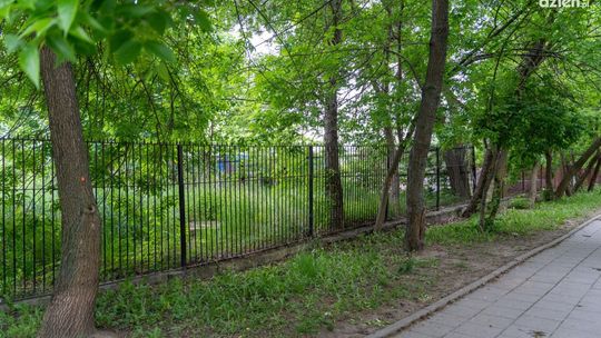 Informacje. Wytną drzewa przy ul. Narutowicza