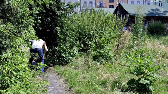 INTERWENCJA: Plac Małgorzatki ciągle straszy