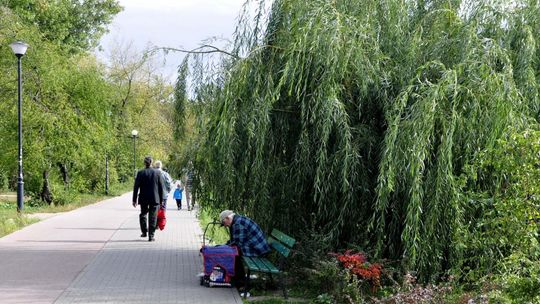 INTERWENCJE: Aleja prof. Kołakowskiego jak wysypisko śmieci!