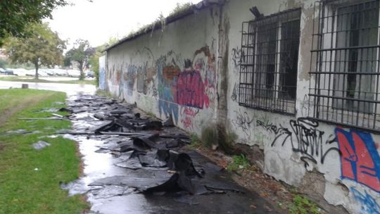 INTERWENCJE: Kto posprząta alejkę?