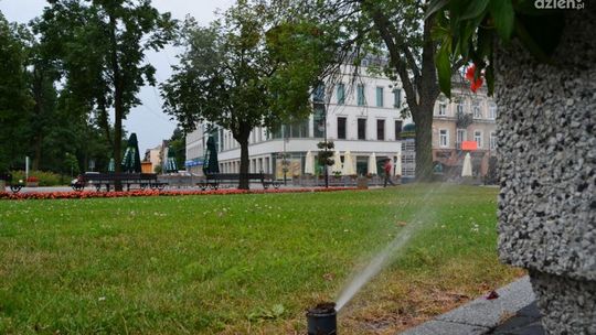 INTERWENCJE : Po co podlewać trawniki w czasie deszczu?