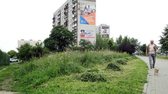 INTERWENCJE: Trawniki czekają na kosiarzy