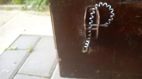 INTERWENCJE: Uparci wandale nad Potokiem