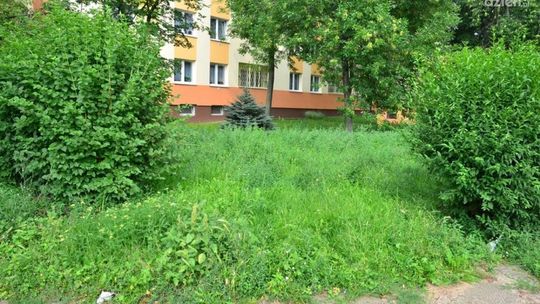 INTERWENCJE: Zarośnięta działka? Możesz wykupić grunt
