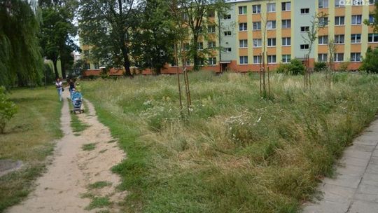 INTERWENCJE: Zarośnięta działka przy ul. Jasińskiego (cz.II)