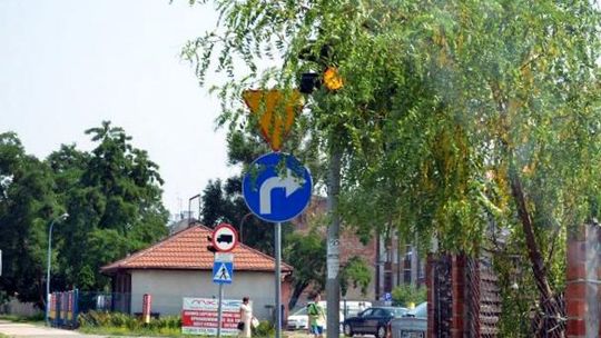 INTERWENCJE: Zarośnięte znaki!