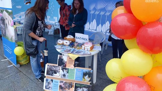 IV Niedziela na 4 Łapach