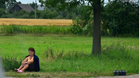 Jagodowy problem przy drodze