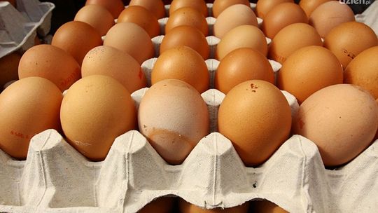 Jajeczne ABC - wszystko co powinniśmy wiedzieć