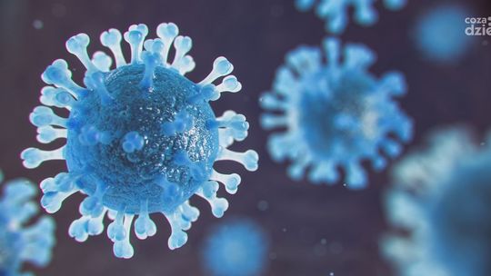 Jak działają testy antygenowe na koronawirusa?