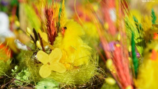 Jak minęły święta w Radomiu?