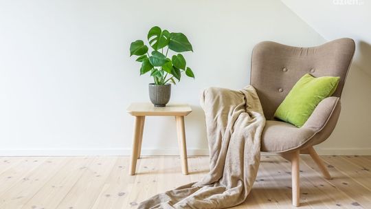 Jak pokrowce na krzesła mogą uratować Cię przed kosztowną renowacją mebli?