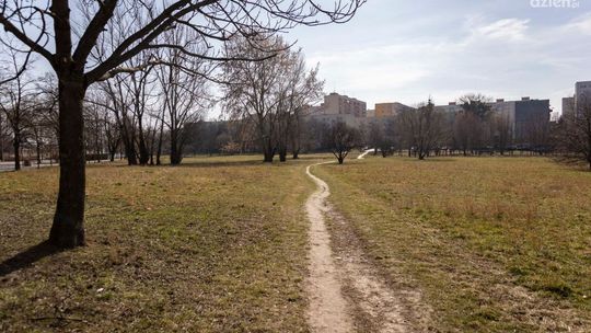 Jak powinien wyglądać teren rekreacyjny na Ustroniu?