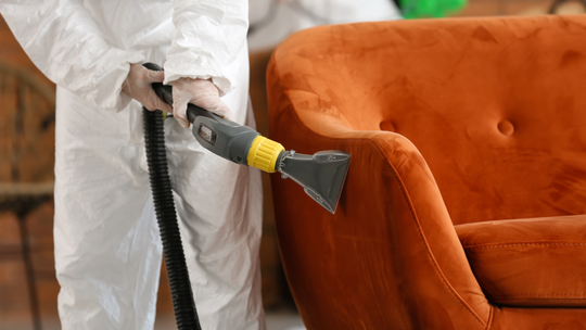 Jak przygotować się do dezynsekcji mieszkania?