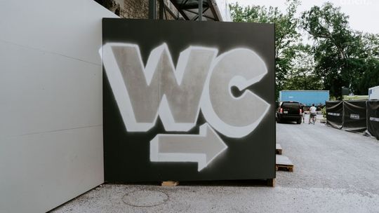 Jak wybrać kostkę WC?