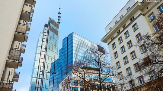 Jak wybrać profesjonalny salon fryzjerski w stolicy?