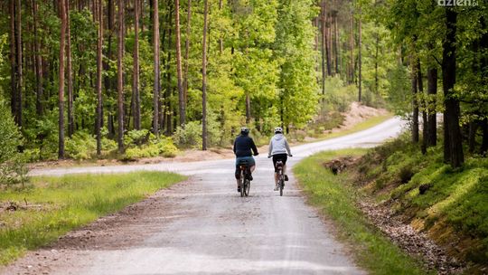 Jak wygląda trasa Co Za Jazda! Jedlnia-Letnisko?