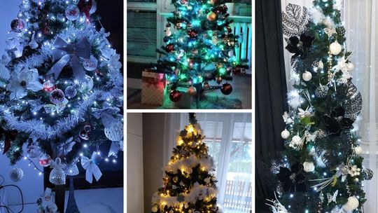 Jak wyglądają wasze choinki? Zobaczcie!