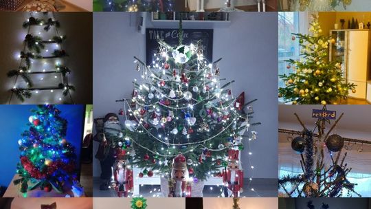 Jak wyglądają Wasze choinki? Zobaczcie!