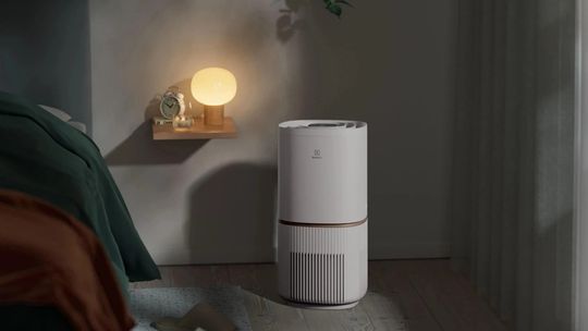 Jak zdalne sterowanie oczyszczaczem powietrza Electrolux ułatwia życie alergikom