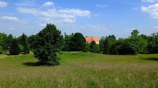 Jak znaleźć numer działki? Zacznij od mapy!