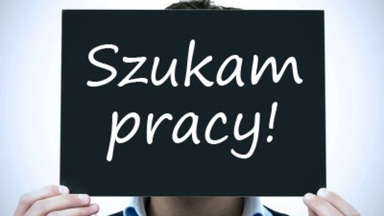 Jak znaleźć pracę - darmowe szkolenia dla studentów