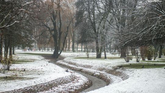 Jaka pogoda na święta?