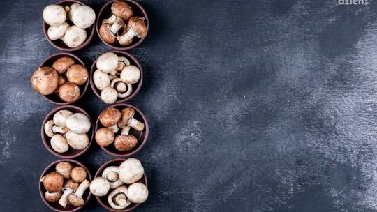 Jaki wózek do zbioru pieczarek i co warto wiedzieć przed zakupem?