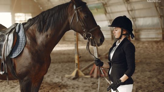 Jakie akcesoria dla konia warto mieć? Jakie akcesoria dla konia warto mieć?