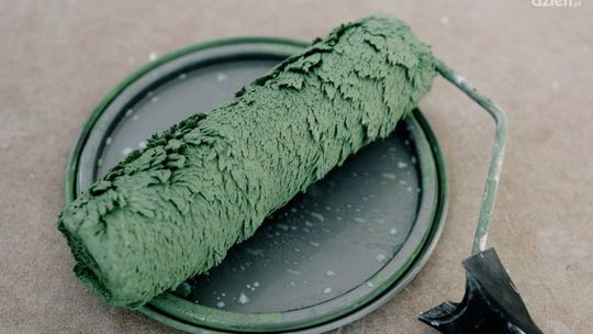 Jakie kolory najlepiej łączyć z drewnem?