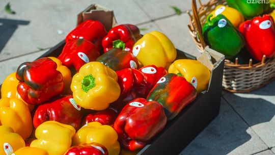 Jakie plany na niedzielę?