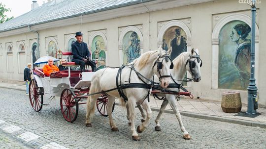 Jakie plany na niedzielę?