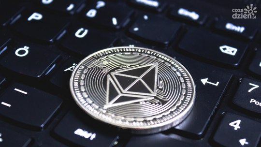 Jakie są alternatywy dla Bitcoina? Poznaj 5 kryptowalut, na które warto zwrócić uwagę