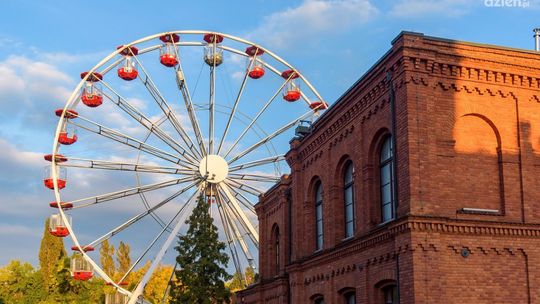 Jakie są korzyści z wyboru profesjonalnej firmy do wywozu odpadów w Łodzi?