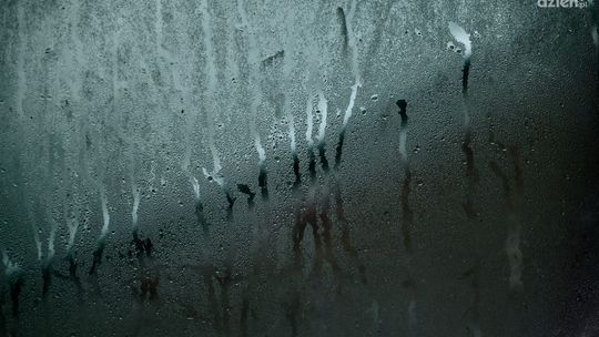 Jakie są skutki zalania mieszkania? Dlaczego szybkie osuszanie jest kluczowe? Jakie są skutki zalania mieszkania? Dlaczego szybkie osuszanie jest kluczowe?